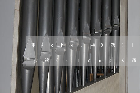 車(chē)禍9級(jí)傷殘一共賠多少錢(qián)(交通肇事9級(jí)傷殘賠付多少)