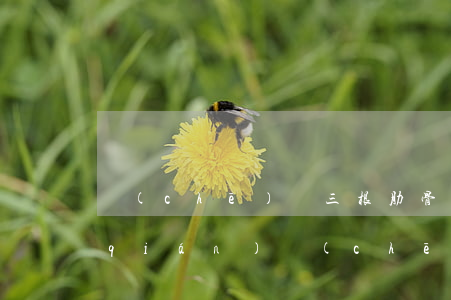 車(chē)禍三根肋骨骨折賠償多少錢(qián)(車(chē)禍肋骨骨折三根能賠多少)