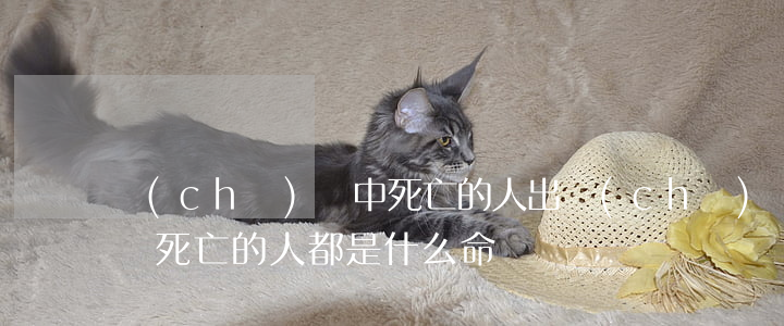 車(chē)禍中死亡的人(出車(chē)禍死亡的人都是什么命)