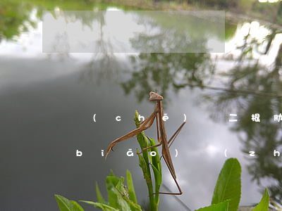 車(chē)禍二根肋骨骨折工傷賠償標(biāo)準(zhǔn)(車(chē)禍肋骨骨折一根賠償標(biāo)準(zhǔn))