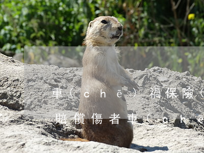 車(chē)禍保險(xiǎn)公司怎么賠償傷者(車(chē)禍保險(xiǎn)公司怎么賠償傷者流程)