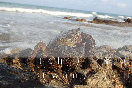 車(chē)禍諒解書(shū)一般在幾萬(wàn)(車(chē)禍諒解書(shū)要哪些人簽字)