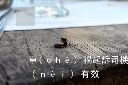 車(chē)禍起訴司機(jī)多久之內(nèi)有效?