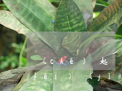 車(chē)禍起訴費(fèi)律師費(fèi)應(yīng)該誰(shuí)來(lái)承擔(dān)(交通事故法院打官司律師費(fèi)訴訟費(fèi)誰(shuí)承擔(dān))