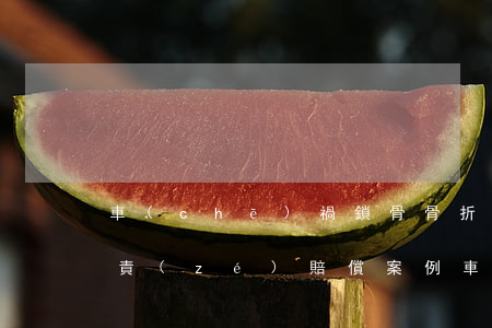 車(chē)禍鎖骨骨折對(duì)方全責(zé)賠償案例(車(chē)禍對(duì)方鎖骨骨折我全部責(zé)任我怎么處理)