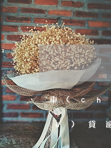 車(chē)貸公司還款逾期1天(車(chē)貸逾期一個(gè)星期)