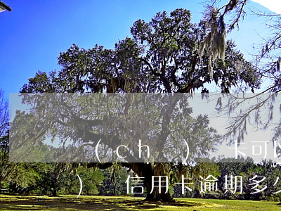 車(chē)貸卡可以逾期幾天（車(chē)貸信用卡逾期多少天）