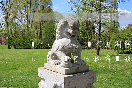 車(chē)貸有逾期能提前還款嗎(車(chē)貸可以提前還款不)
