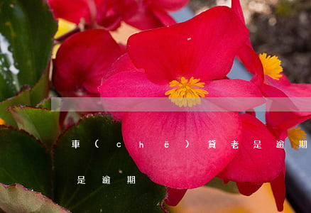 車(chē)貸老是逾期（車(chē)貸老是逾期）