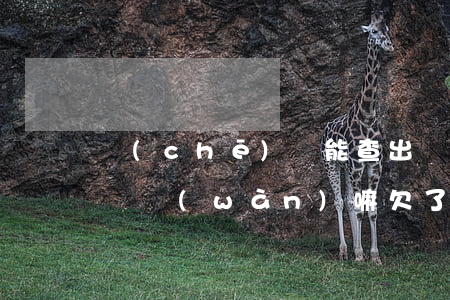 車(chē)貸能查出網(wǎng)貸欠幾萬(wàn)嘛(欠了網(wǎng)貸名下有車(chē)能查到嗎)