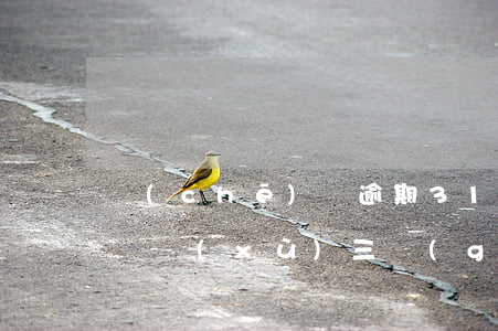 車(chē)貸逾期31天(車(chē)貸連續(xù)三個(gè)月逾期12天)