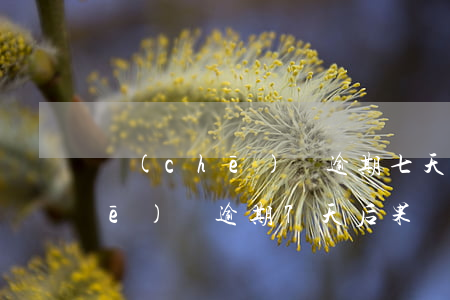 車(chē)貸逾期七天怎么起訴(車(chē)貸逾期7天后果嚴(yán)重嗎)