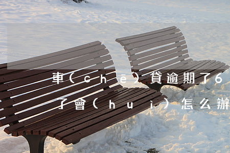 車(chē)貸逾期了6個(gè)月還上了會(huì)怎么辦(車(chē)貸逾期兩個(gè)月還款會(huì)怎么樣)