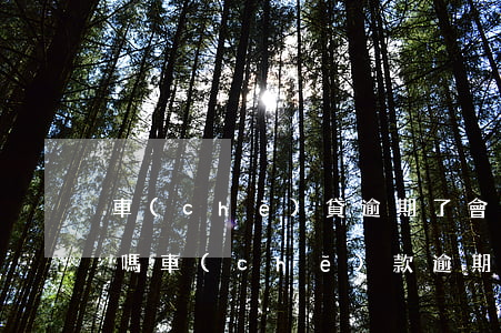 車(chē)貸逾期了會(huì)被起訴嗎(車(chē)款逾期被起訴會(huì)怎么樣)
