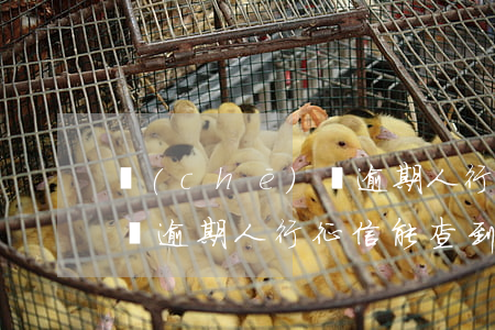 車(chē)貸逾期人行征信 車(chē)貸逾期人行征信能查到嗎