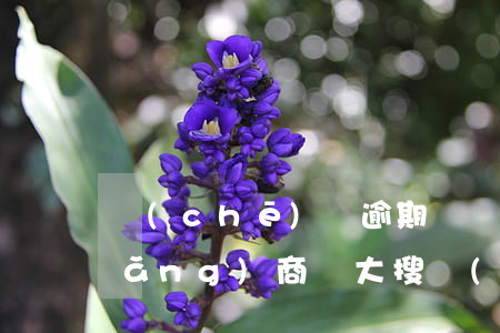 車(chē)貸逾期兩個(gè)月網(wǎng)商貸(大搜車(chē)逾期2個(gè)月公司幫你結(jié)清網(wǎng)商貸款?)