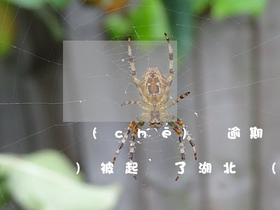 車(chē)貸逾期兩年了已經(jīng)被起訴了（湖北車(chē)貸逾期）