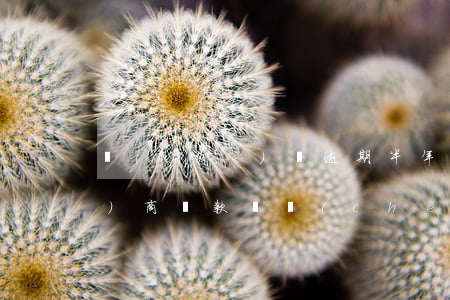車(chē)貸逾期半年了可以協(xié)商還款嗎(車(chē)款逾期半年還款還可以嗎)