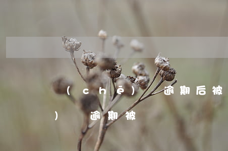 車(chē)貸逾期后被起訴了(車(chē)貸逾期被訴訟)