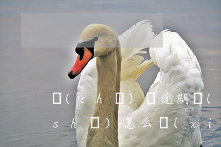 車(chē)貸逾期寫(xiě)保證書(shū)怎么寫(xiě)(車(chē)貸逾期寫(xiě)保證書(shū)怎么寫(xiě)范本)