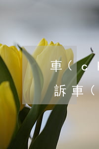車(chē)貸逾期收車(chē)還要起訴(車(chē)貸逾期收車(chē)還要起訴)