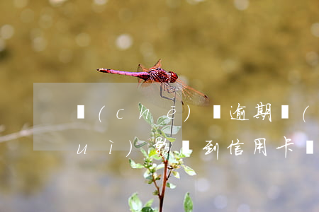 車(chē)貸逾期會(huì)不會(huì)影響到信用卡(車(chē)貸逾期會(huì)影響征信嗎?)