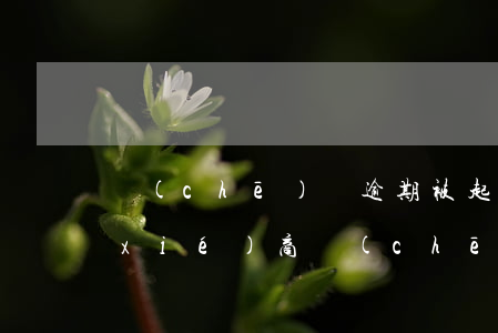車(chē)貸逾期被起訴怎么和銀行協(xié)商（車(chē)貸逾期被銀行起訴怎么和解）