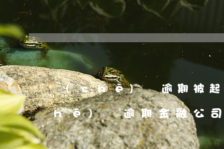 車(chē)貸逾期被起訴金融詐騙(車(chē)貸逾期金融公司起訴)
