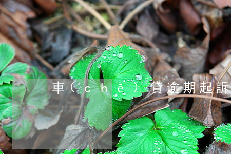 車(chē)貸逾期起訴嗎