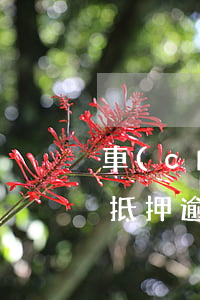 車(chē)貸逾期起訴案例（車(chē)抵押逾期起訴案例）