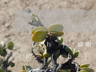 車(chē)貸逾期還能貸款買(mǎi)房嗎(車(chē)貸有逾期還能貸款買(mǎi)車(chē)嗎)