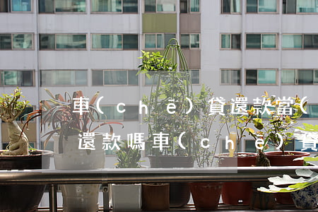 車(chē)貸還款當(dāng)天逾期還款嗎(車(chē)貸昨天還款日今天還可以嗎)
