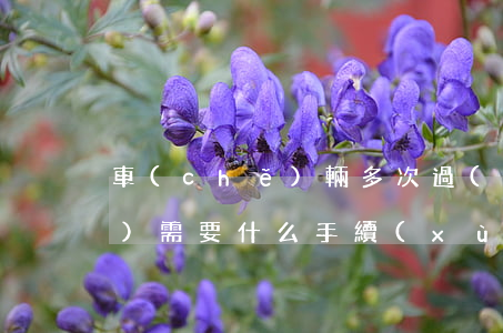 車(chē)輛多次過(guò)戶(hù)需要什么手續(xù)(車(chē)輛最多能過(guò)戶(hù)幾次)
