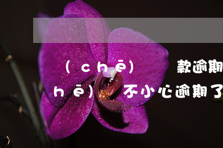 車(chē)輛貸款逾期后怎么處理(車(chē)貸不小心逾期了怎么辦)