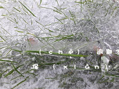 車(chē)輛逾期3年可以買(mǎi)保險(xiǎn)嗎(汽車(chē)保險(xiǎn)過(guò)期3個(gè)月能交嗎)