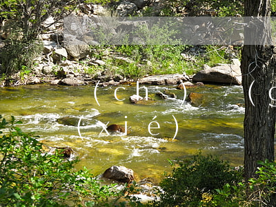 車(chē)輛過(guò)戶(hù)協(xié)議