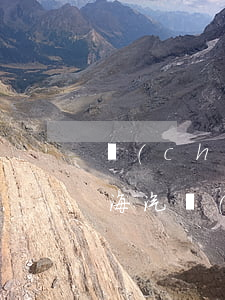 車(chē)輛違章查詢(xún)上海(上海汽車(chē)違章查詢(xún)官方網(wǎng))