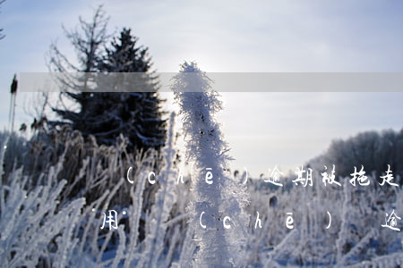 車(chē)逾期被拖走要交費(fèi)用嗎(車(chē)輛逾期被拖走合法嗎)