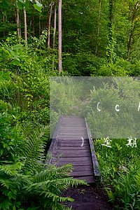 車(chē)險(xiǎn)審車(chē)逾期一個(gè)月可以嗎（車(chē)險(xiǎn)和車(chē)檢能逾期多久）