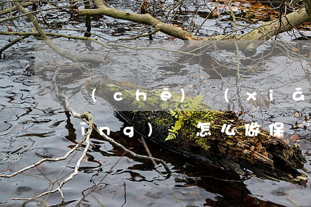 車(chē)險(xiǎn)逾期后應(yīng)該怎么做保養(yǎng)（車(chē)險(xiǎn)逾期后應(yīng)該怎么做）
