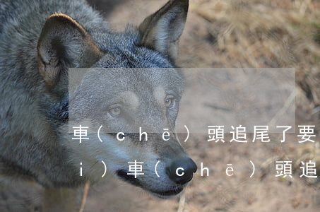 車(chē)頭追尾了要多少維修費(fèi)(車(chē)頭追尾了要多少維修費(fèi))