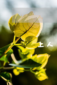 車上人員險(xiǎn)何時(shí)不賠償
