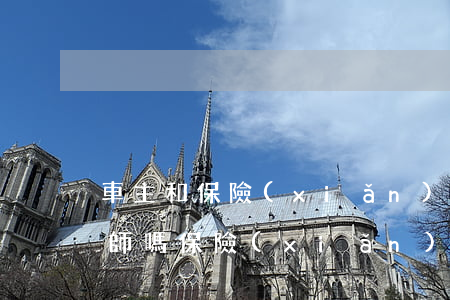 車主和保險(xiǎn)公司被起訴要請律師嗎(保險(xiǎn)公司可以起訴對(duì)方嗎?)