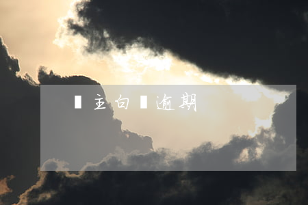 車主白條逾期