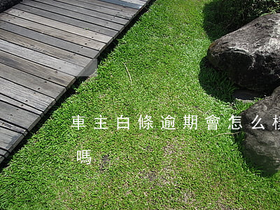 車主白條逾期會怎么樣(白條逾期會影響出行嗎)