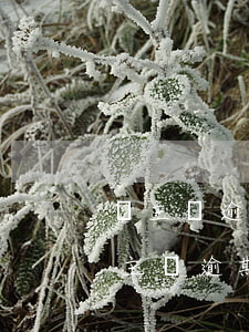 車主貸逾期了可以協(xié)商還款嗎(車主貸逾期了可以協(xié)商還款嗎)