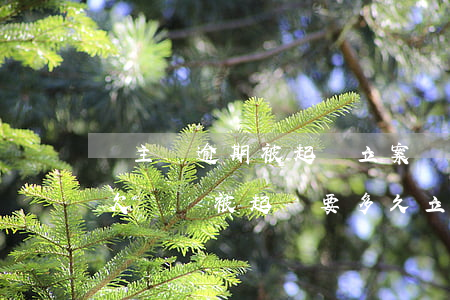 車主貸逾期被起訴立案會(huì)拘留嗎(欠車貸被起訴要多久立案)