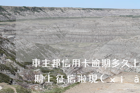 車主邦信用卡逾期多久上征信(以前車貸有逾期上征信啦 現(xiàn)在還能辦信用卡嗎)