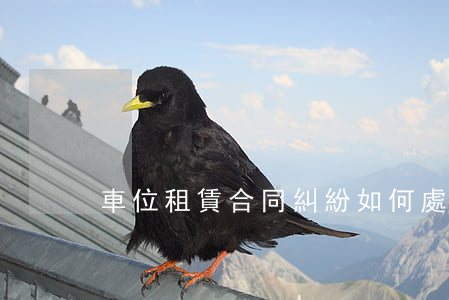 車位租賃合同糾紛如何處理