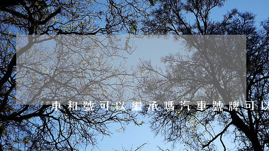 車和號可以繼承嗎(汽車號牌可以繼承嗎)